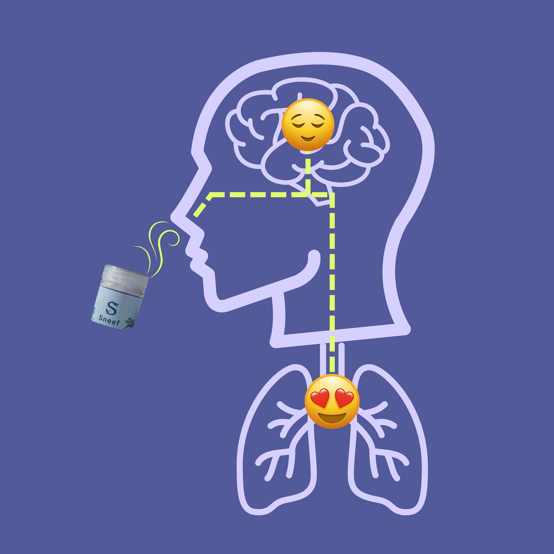 Die Wirkung von Herbal Inhalern: Ein wissenschaftlicher Überblick